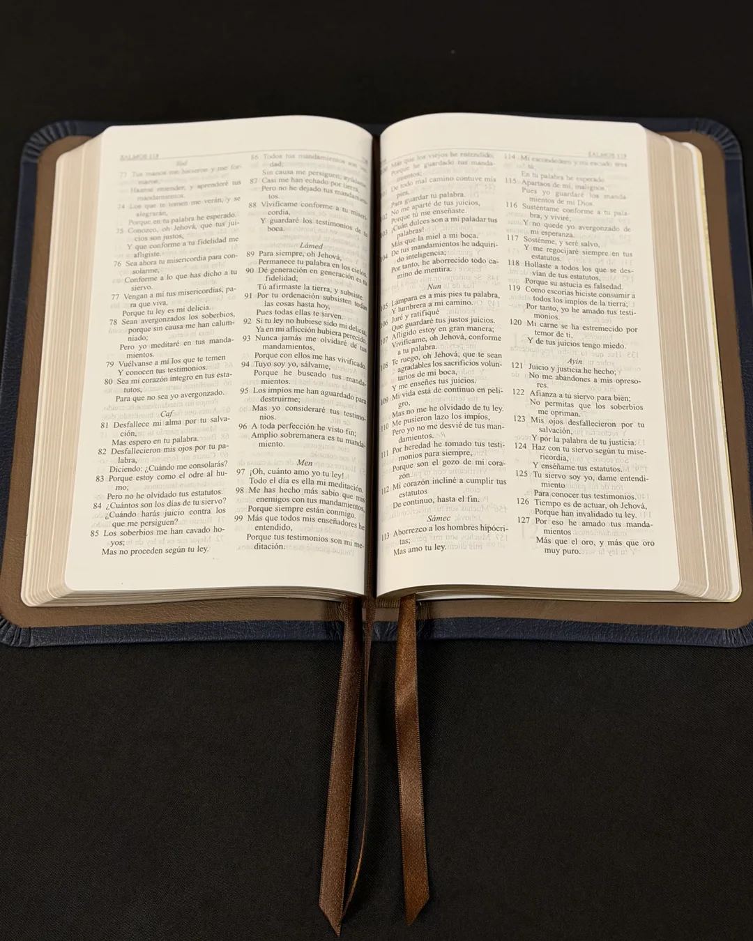 Open Bible with brown ribbons on a dark background